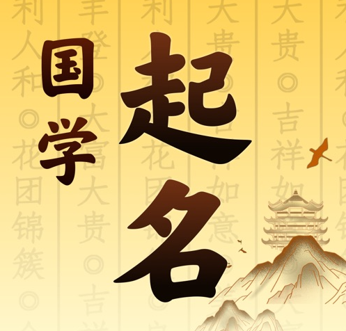 嘉禾国学起名 人工起名一对一